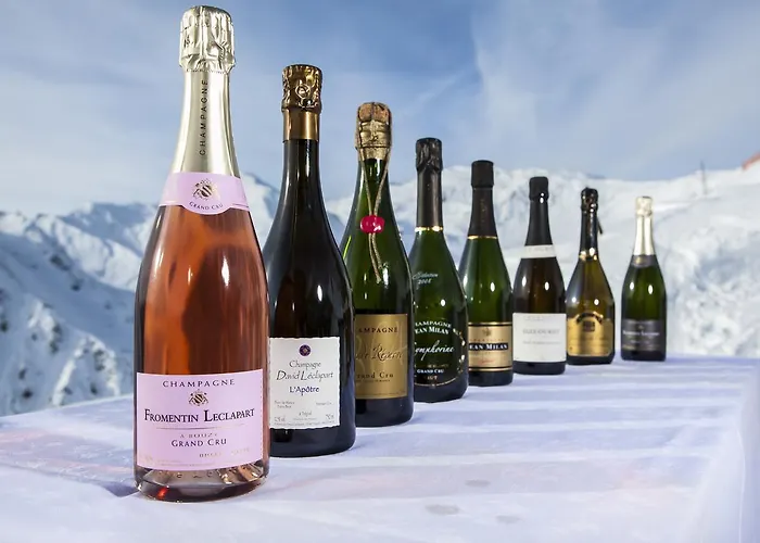 호텔 Schneekarhuette 메이른호픈