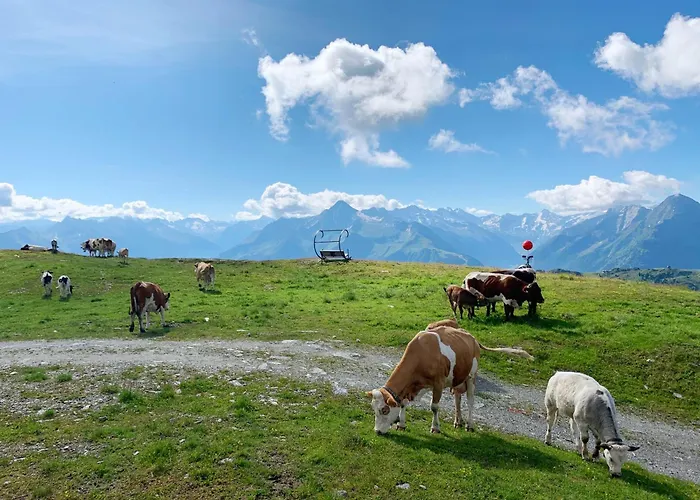 Schneekarhuette Ξενοδοχείο