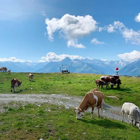 Schneekarhuette מלון