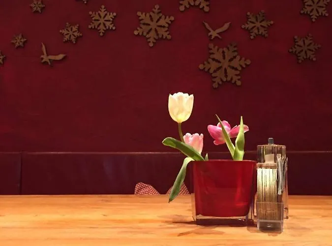 מלון Schneekarhuette *